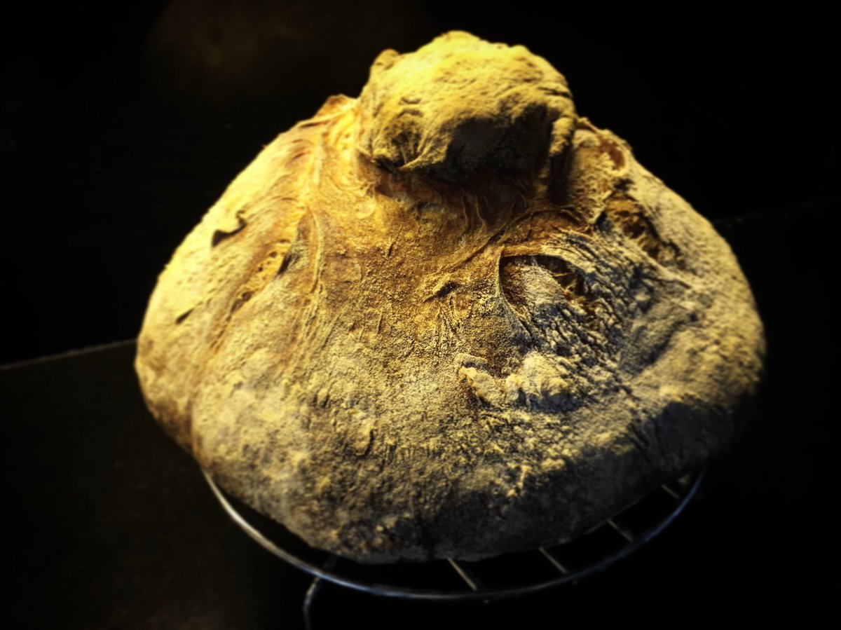 PabloMChef4's tweet photo. #bollo #gallego #bolo #galego #Galician #bread #homemade 85% #highhydration #dough #pandeverdad #realbread #masamadre de #centeno #integral #whole #rye #sourdough #starter sólo con harina+agua+sal flour+water+salt only 🤗🤗🤗 https://t.co/Qzg8ncSa0Y