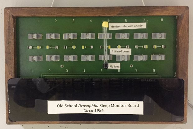 BrandeisNow (@brandeisnow) on Twitter photo Once a wall ornament in Michael Rosbash's lab, this device to monitor the sleep patterns of flies is now preserved in the <a href="/NobelMuseum/">Nobel Prize Museum</a>: brandeis.edu/now/2017/decem… Once a wall ornament in Michael Rosbash's lab, this device to monitor the sleep patterns of flies is now preserved in the <a href="/NobelMuseum/">Nobel Prize Museum</a>: brandeis.edu/now/2017/decem…