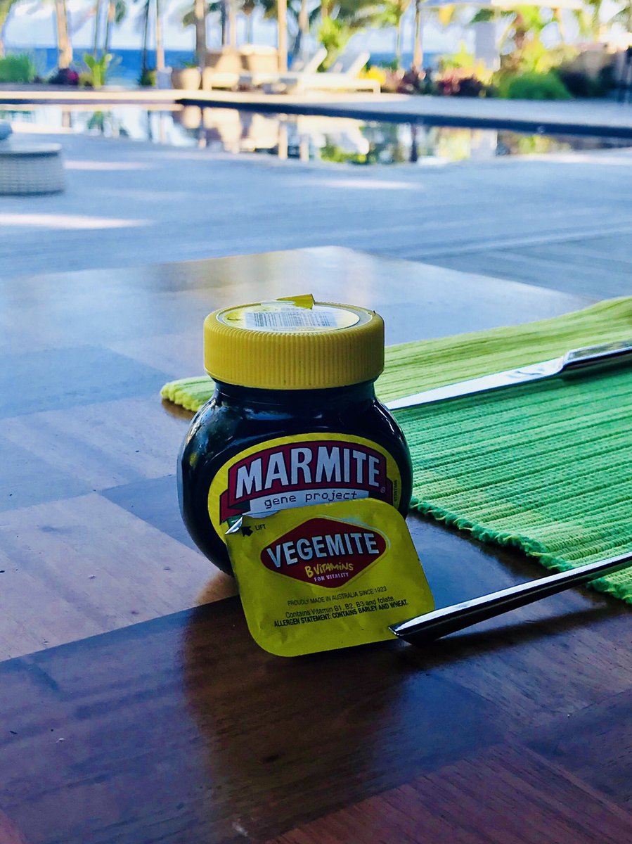 😻😻 Baroness Baum 😻😻 tweet media