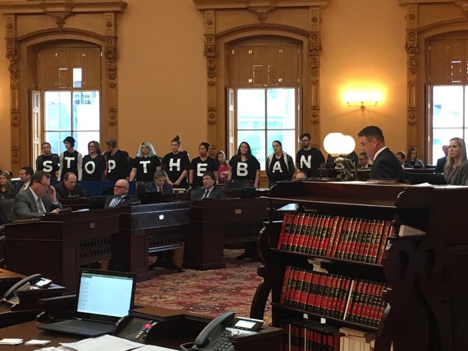 View image on Twitter