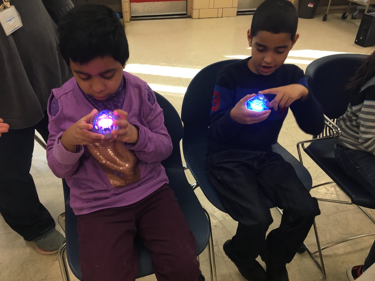 MaidenChoiceLibrary tweet media