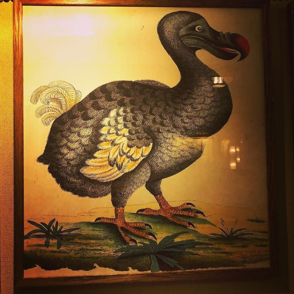 yorkmumbler's tweet photo. Guess where I am tonight... first to guess wins a #mumblershoppingbag #perksofthejob #datenightdestination #eatingoutyork #champagne #yumyum https://t.co/Nx6qNxYHNZ https://t.co/D99OzNaXMf