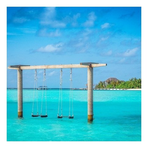 aftertanco's tweet photo. We may be fully functioning adults but these swings are too tempting to resist. #whatisadulthood #takeushere https://t.co/fRRfvPIBkF