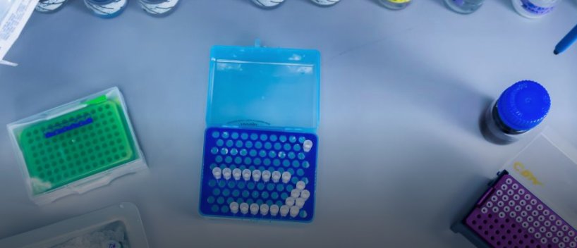 IRISBioTech's tweet photo. A #Cancer #Vaccine Was Just Injected into its First Patient
https://t.co/qLtLJyHqX2 https://t.co/PNZtFlmU1G