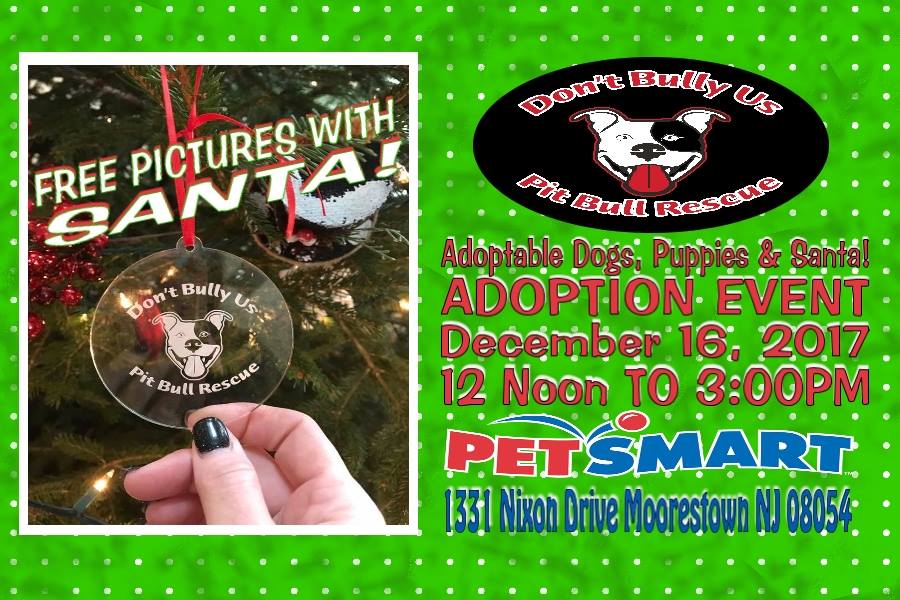 dburescue's tweet photo. Adoptable dogs, puppies and Santa on Saturday December 16th - Noon to 3pm at the Moorestown PetSmart NJ! We will have our logo wear, DBU Logo glasses &amp; ornaments available for purchase! Bring your pets &amp; family &amp; get a FREE picture with the big man himself! #SantaPaws #PITTIE https://t.co/I9GtRJUv8G