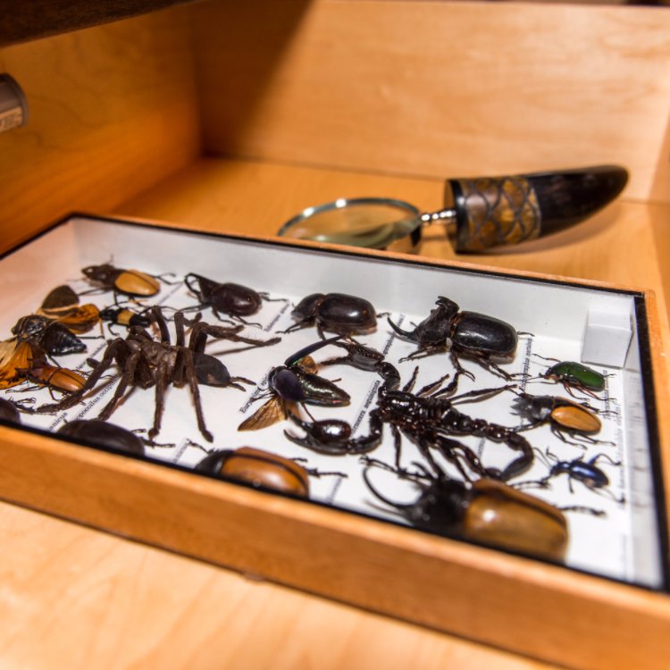 RedButtonEscape's tweet image. Think outside the box when giving gifts this year!