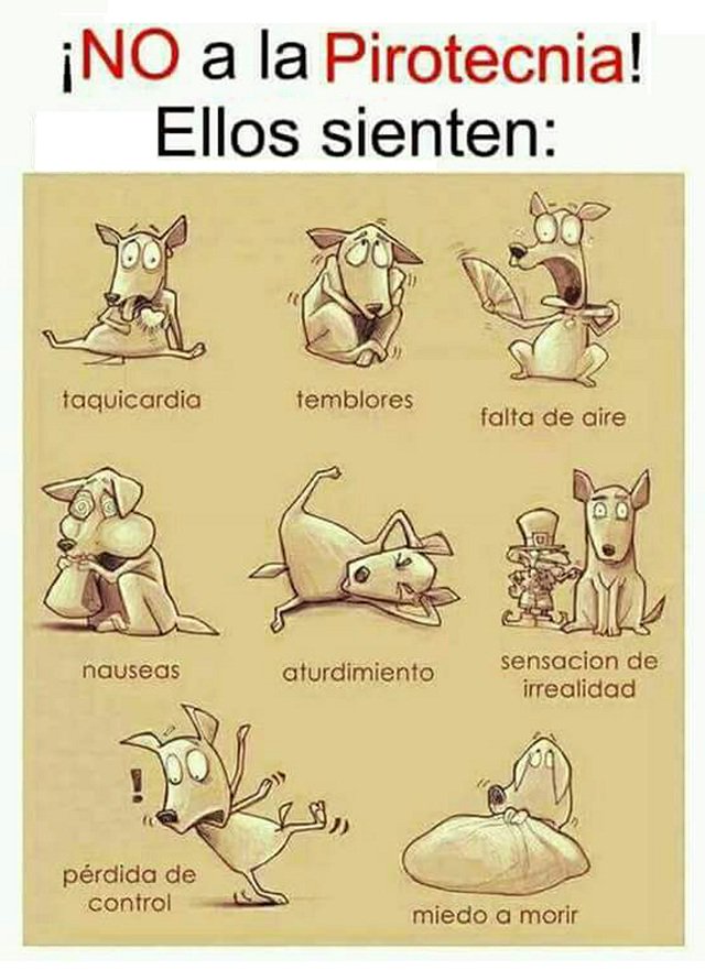 zavqram's tweet photo. @TlalpanUnidos https://t.co/U45kOIKaV8