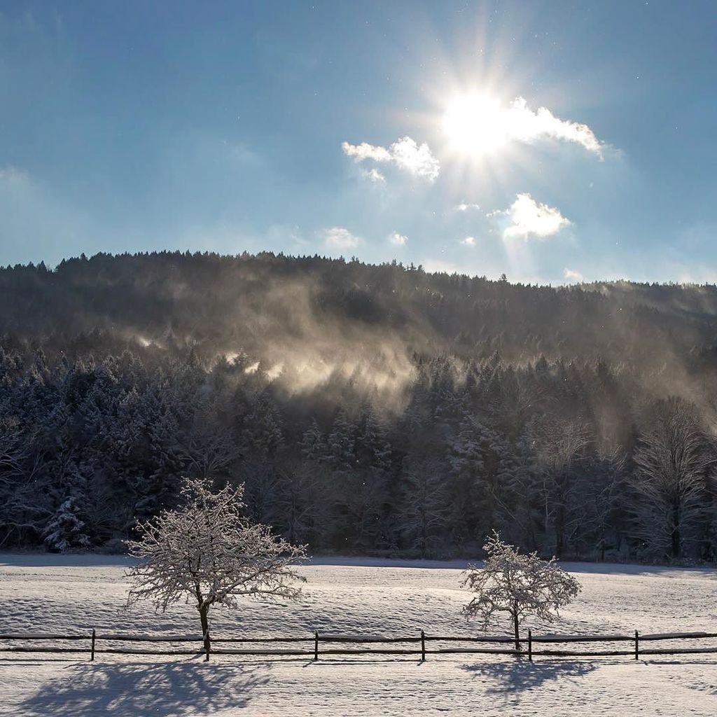 venture4wd's tweet photo. Vermont at the onset of the snow season. This is a little taste of this weekโs forthcoming episode on YouTube. There will be plenty of snow! Link in bio. #journeyinbetween #vermont #snow #morning #grafton #mountains #mist #clouds #theroadchosedan #overlaโฆ https://t.co/WCf14pXqXH https://t.co/wzmZCzcKBM