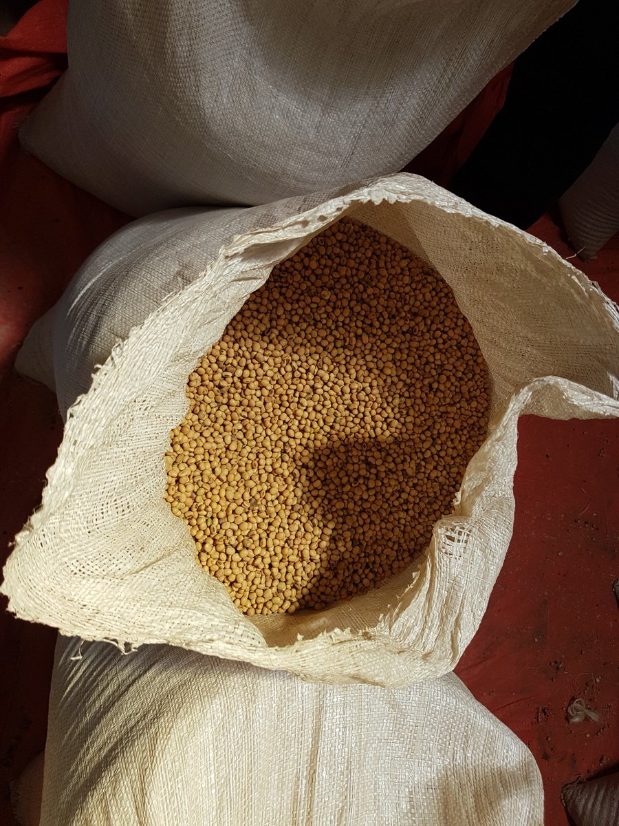 steventrijsburg's tweet photo. Fascinating journey in Uganda (part 3) : researching project opportunities for #PlantBased meat alternatives in Uganda @MVO_NL @freshcutsug #MrTasty #Sesaco #EastAfricanBasicNeeds https://t.co/ad659mWSL5