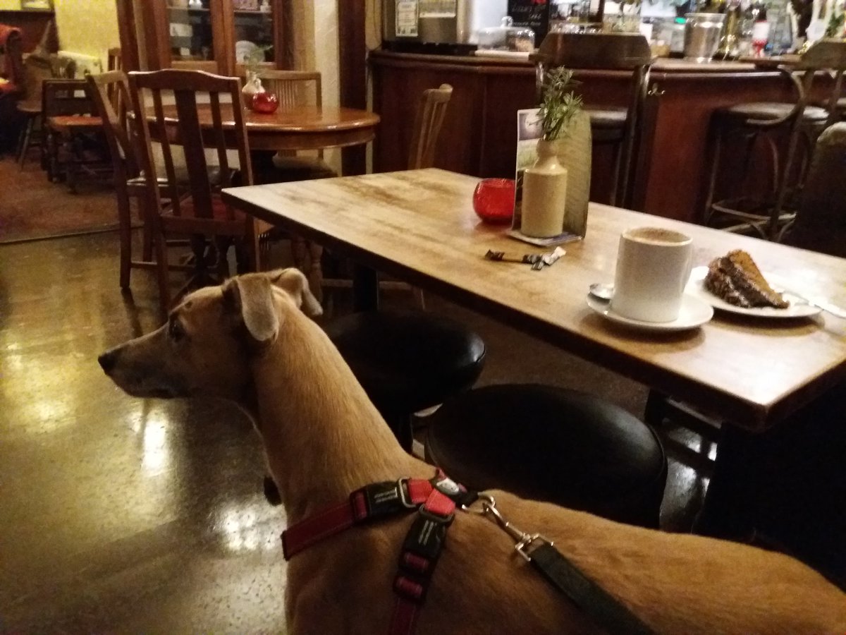 ChurchCamping's tweet image. We&apos;ve finished our #Champing photo shoot today and are now having a well deserved hot  chocolate, cake and a dog treat for #ChampBot Jake.