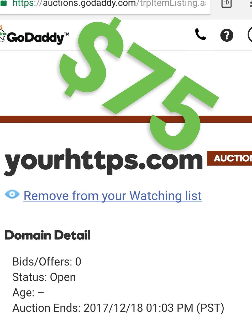 FreeKushner's tweet image. No Reserves $75 Domain Names for Sale @ GoDaddy Auction. Start your new business with a great domain name.