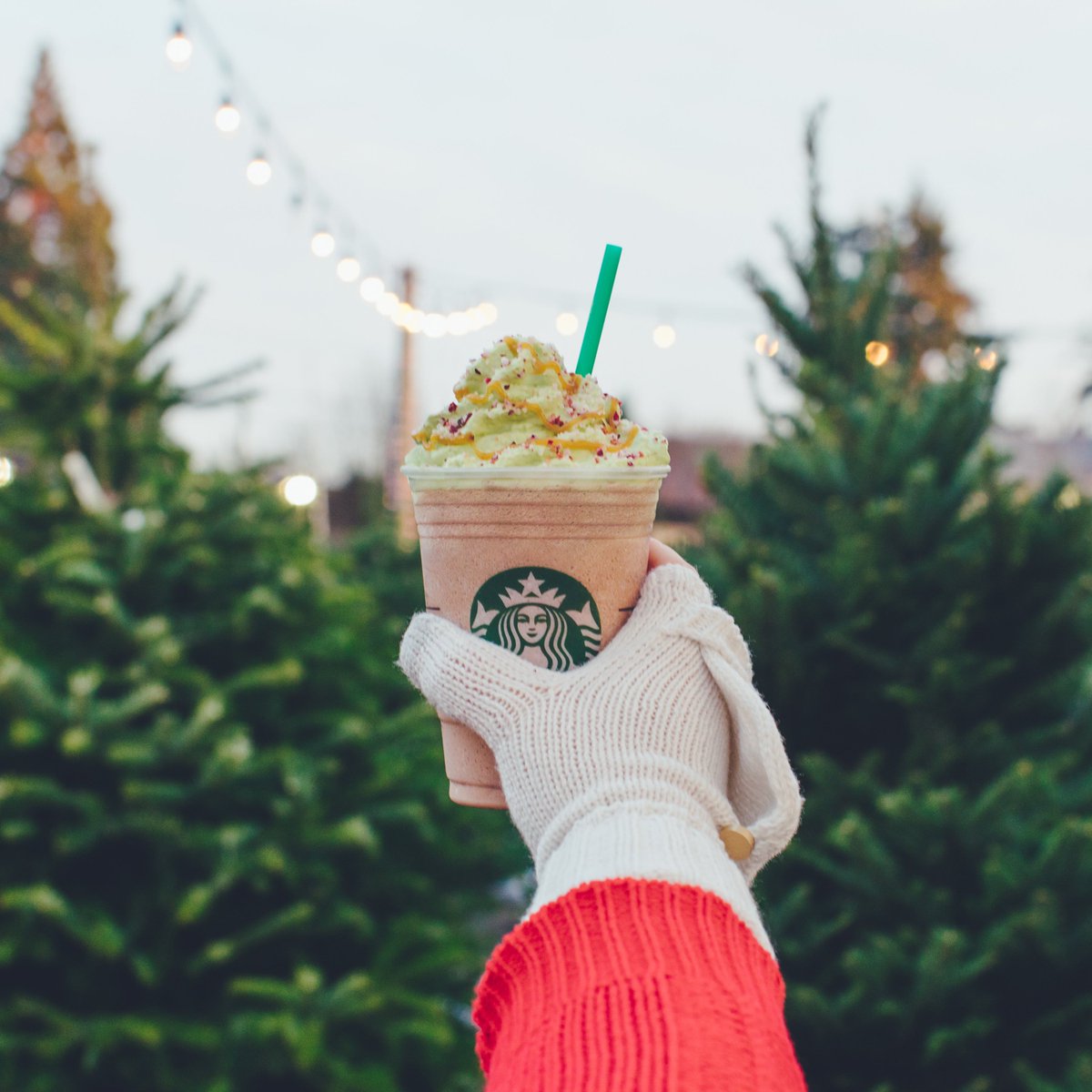 StarbucksCanada's tweet image. Get in the spirit with the perfect blend of peppermint and chocolate, topped with matcha whip cream, garlands of caramel drizzle and candied cranberries.

Our #ChristmasTreeFrappuccino is available until December 17th. 🎄