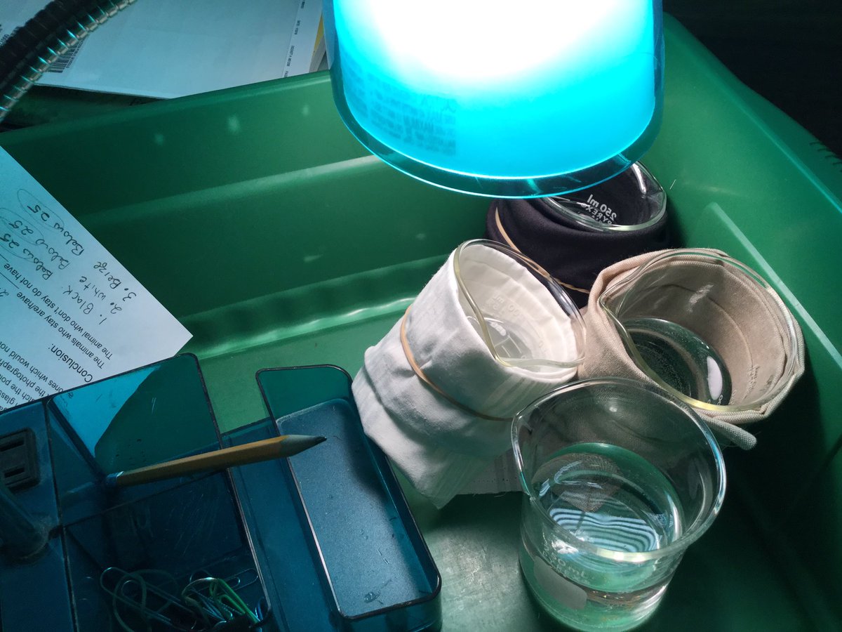 Inquiry in the library @sfens #spslearn #spstl