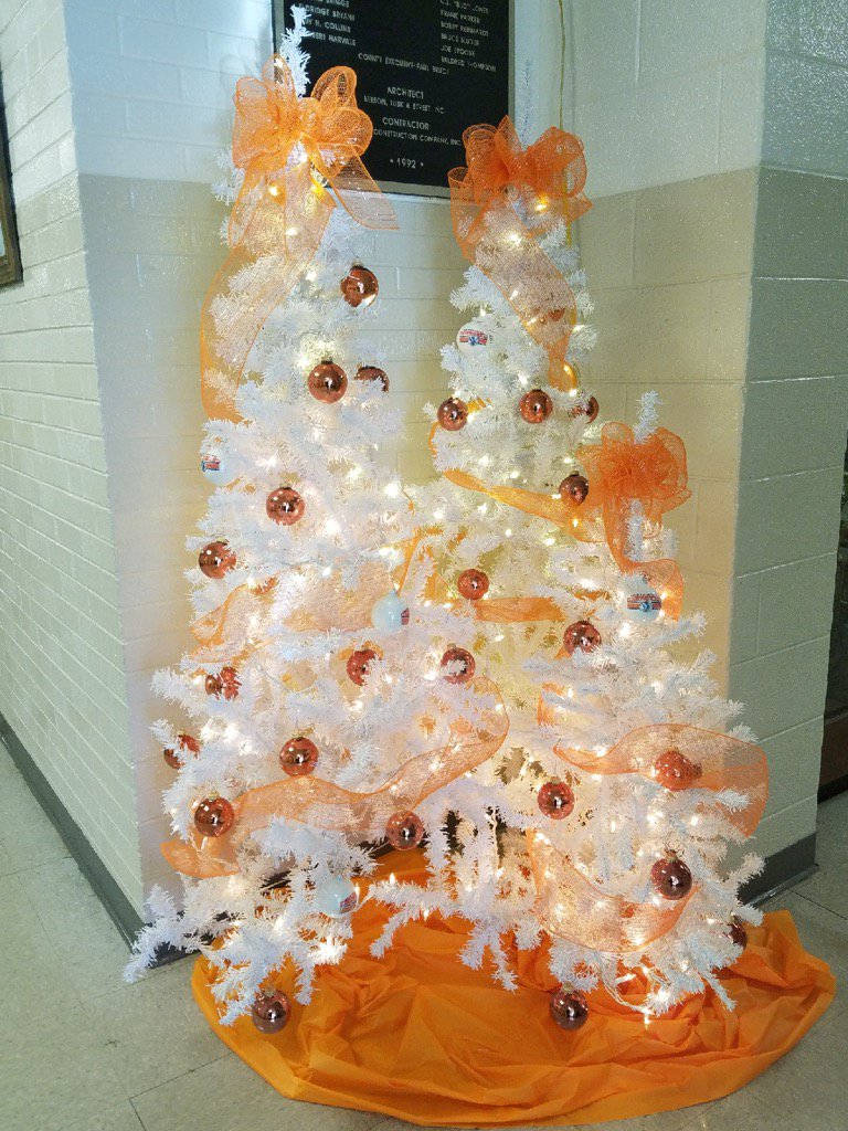 KimFowlerFox's tweet image. Whitesburg Elementary is festive with their beautiful school colors!