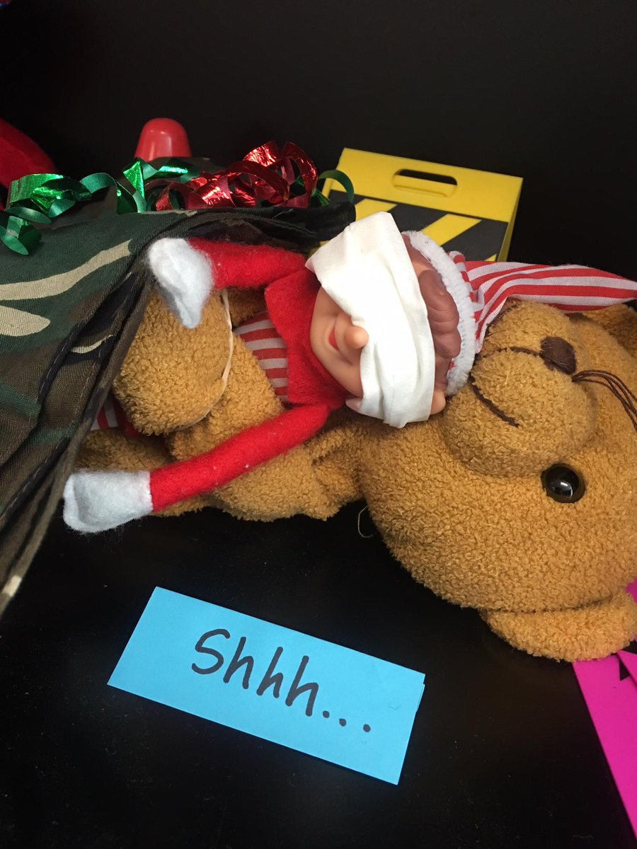 ScienceDiva75's tweet photo. Day 1 of mid-terms and Tinsel is out like a light! https://t.co/dRzAQEtfZh