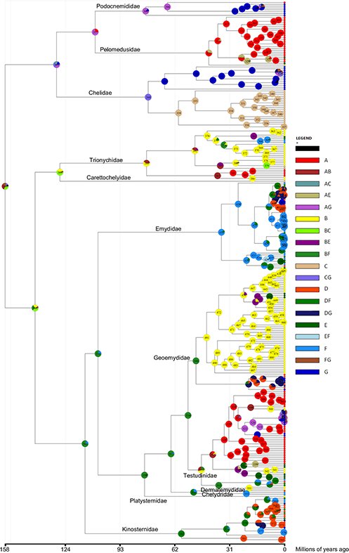 a handbook of spectroscopic data