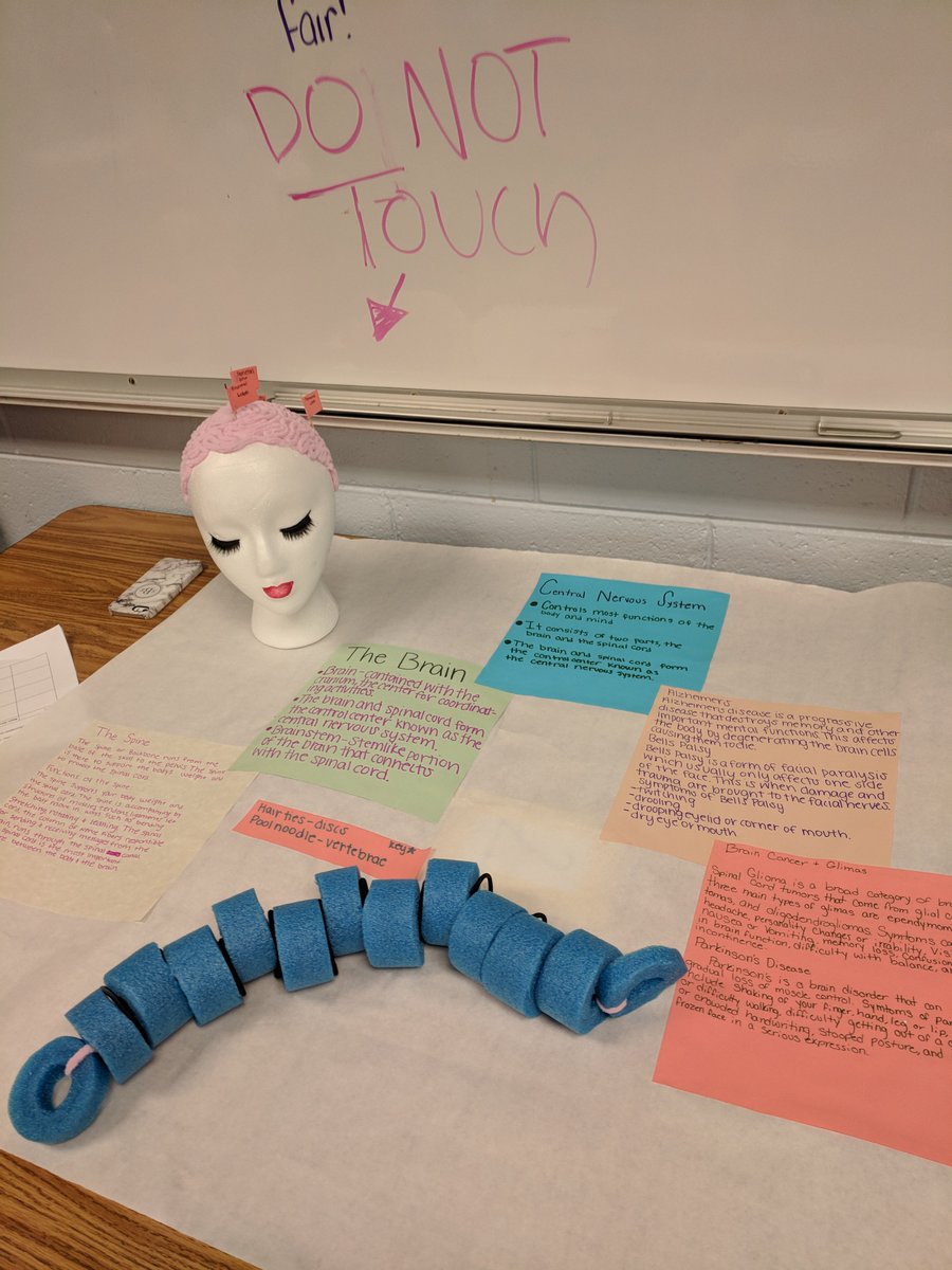 LMS_EaglesNest's tweet photo. Amy M. Jones’ Health PE classes at LMS engaged in PBL assignment on Human Body Systems.  Students researched their system, diseases and collaborated ideas about their model design and project layout.  They will present their finished products during a Share Fair presentation. https://t.co/REDNtHzkXd
