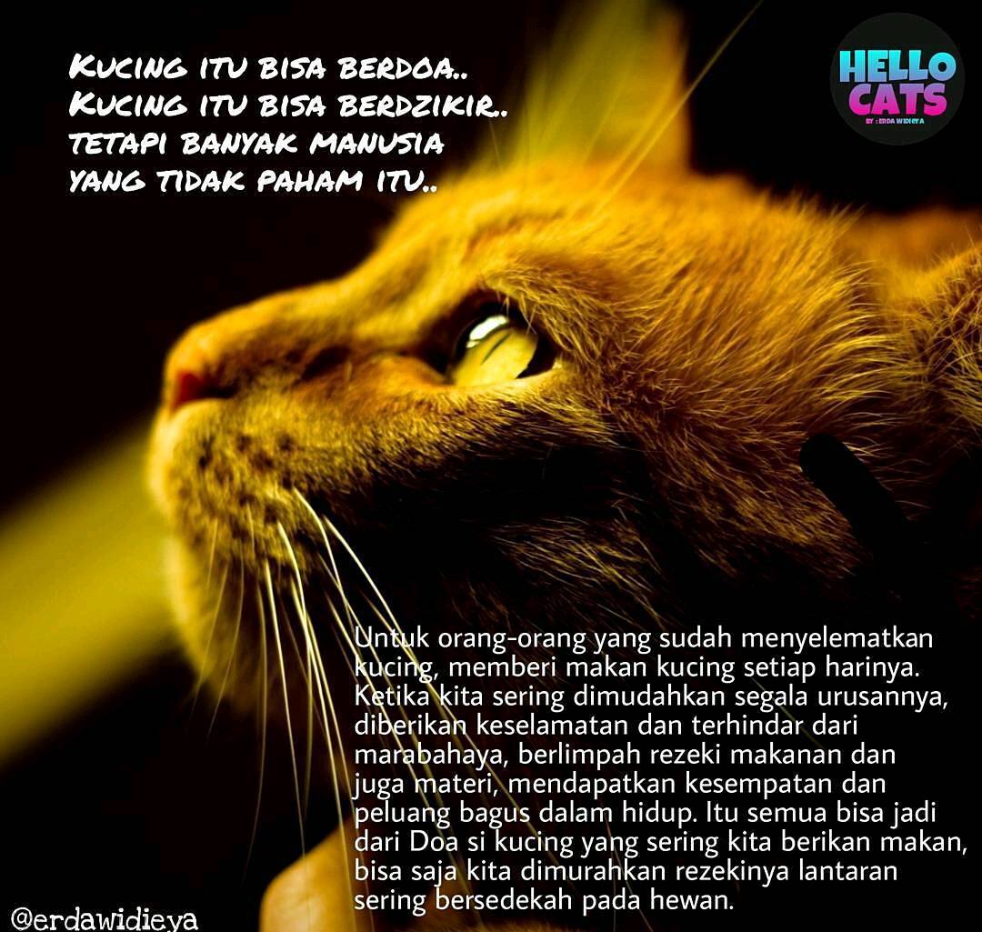 Abidin bin assegaf (@abidin22149150) on Twitter photo 