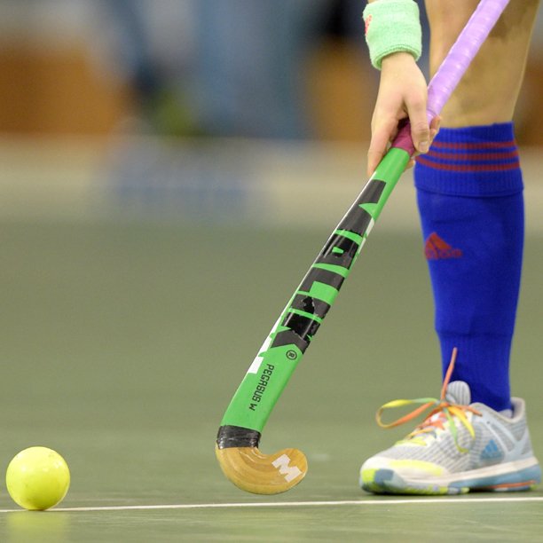 #ballzy #Pegasus #legend #livehockey #playmalik Photo Credit: <a href="/dirkmarkgraf/">Dirk Markgraf</a> / 265-images.com