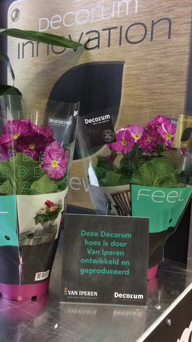 VanIperenBV's tweet photo. Hoezen van Van Iperen bij de Decorum #winterfair   @Kwekerij_JoGrow #tuinbouw #hoezen https://t.co/HZcrz9RFGY
