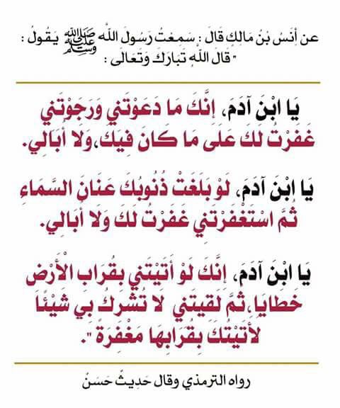 Sabour tweet media