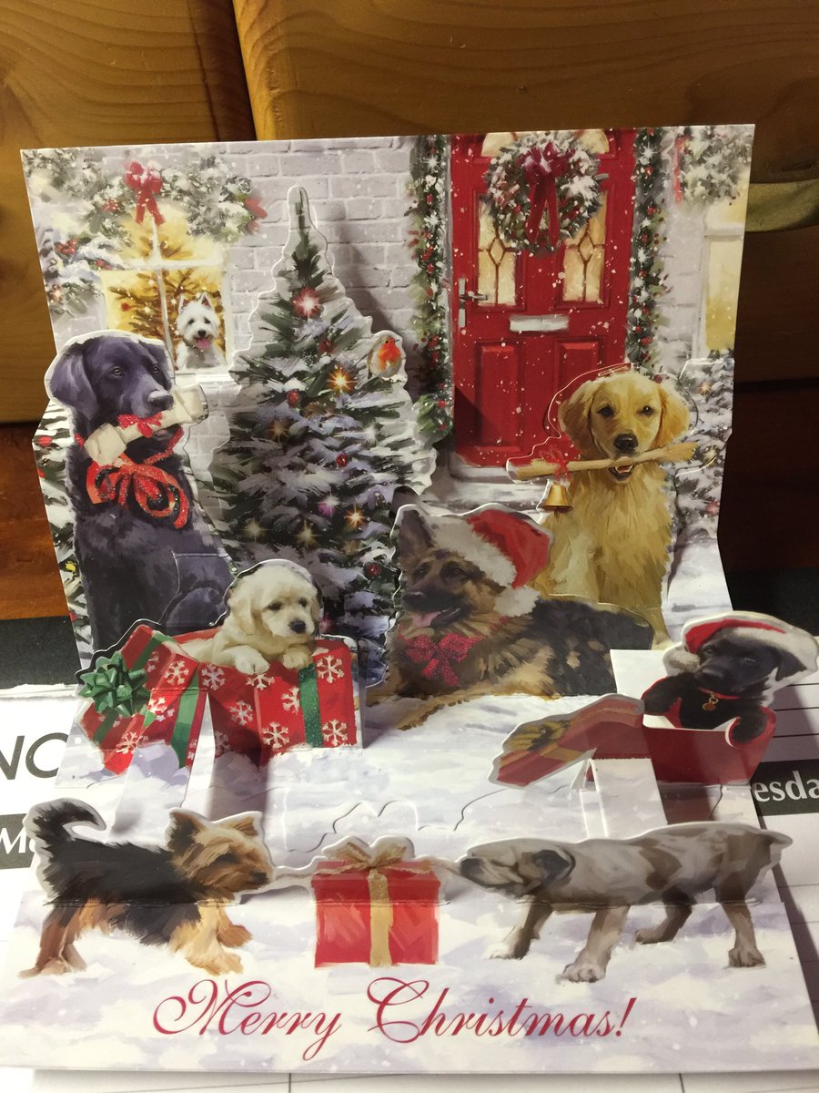 Enjoying this precious Christmas card!