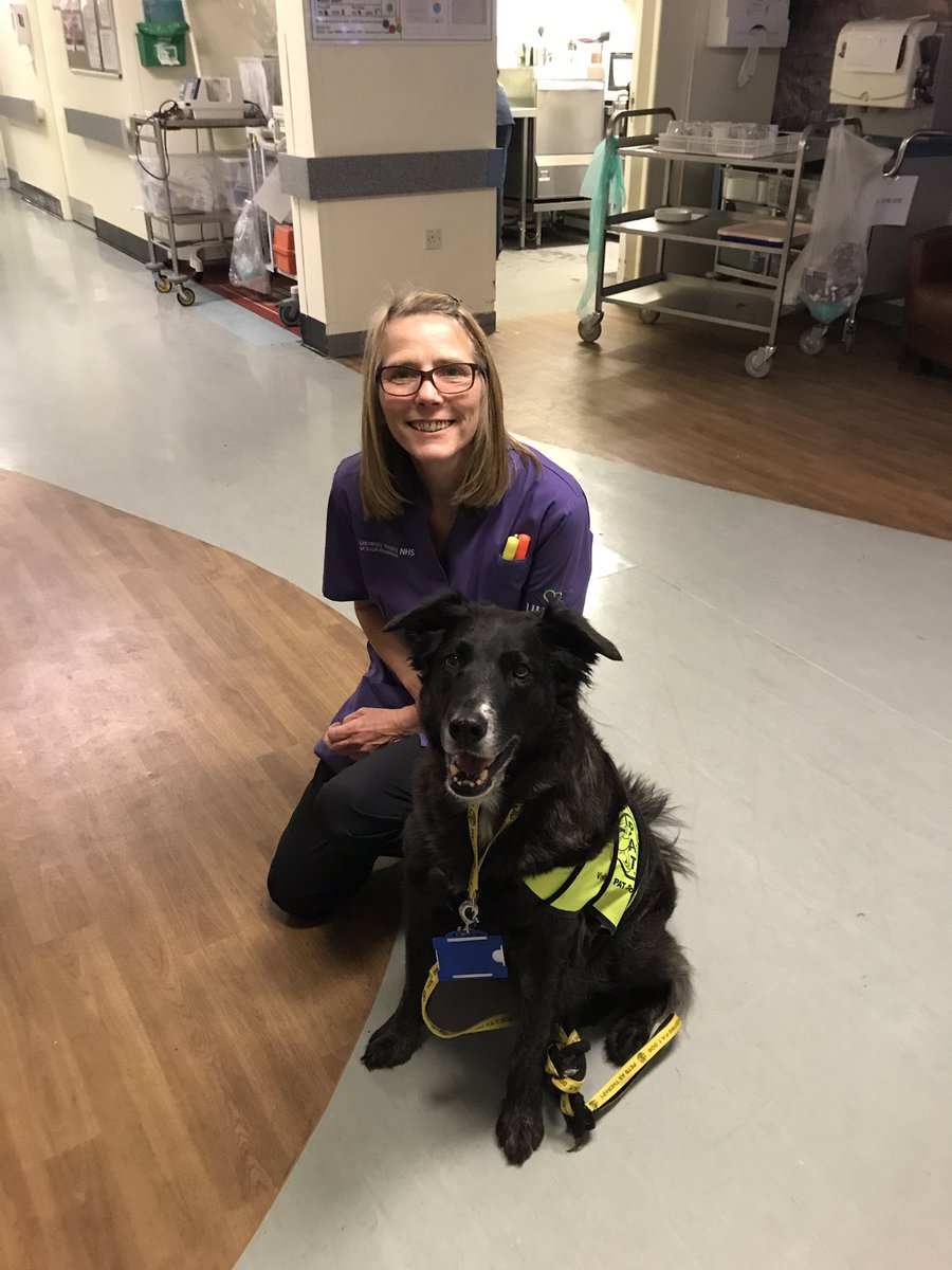 ScruffyPAT's tweet photo. A member of the team making Wythenshawe hospital such a wonderful place to be and according to Scruffy the PAT dog, they give tasty treats too. #nhs @PetsAsTherapyUK #dogs #DogsHelpUs #nhsmft https://t.co/7Yz20cPGL8