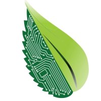 Phenome 2020 tweet media