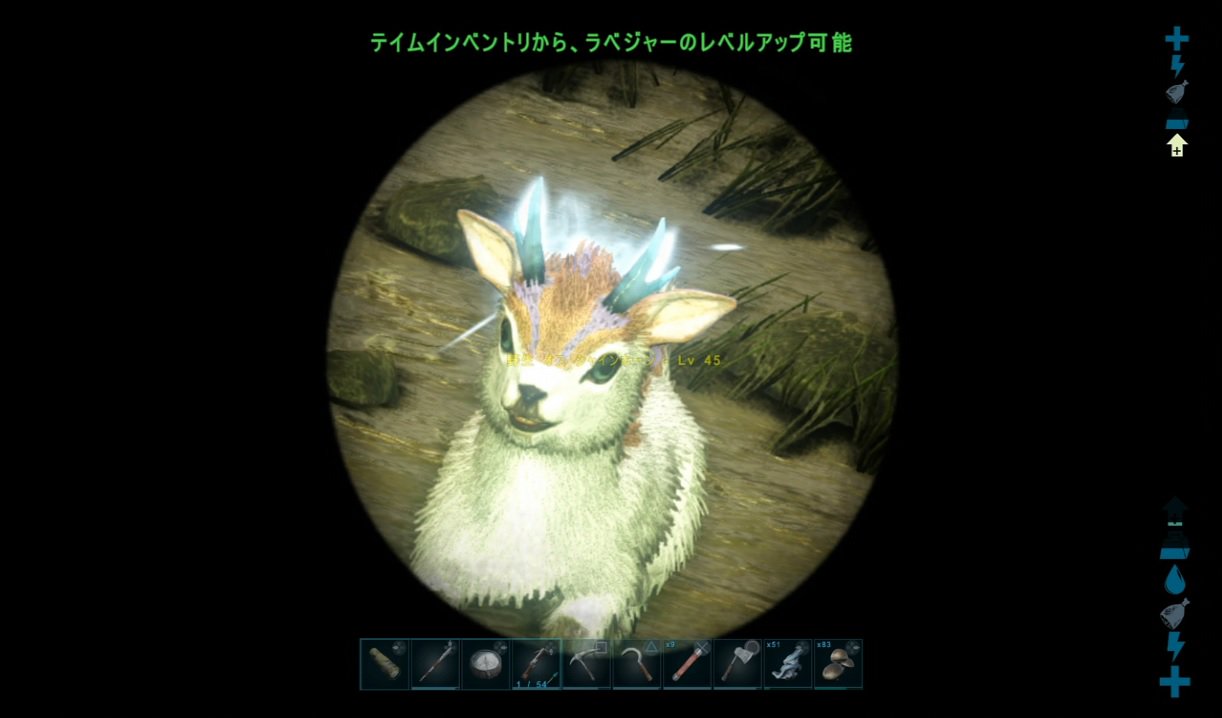ミケロ なんだこいつ 可愛すぎるだろう テイムめっちゃ大変なんじゃないかと思ったけど 逃げもしないし キノコでテイム出来た きゃわわなシャインホーンちゃん Ark Aberration T Co Nqneascj1k Twitter