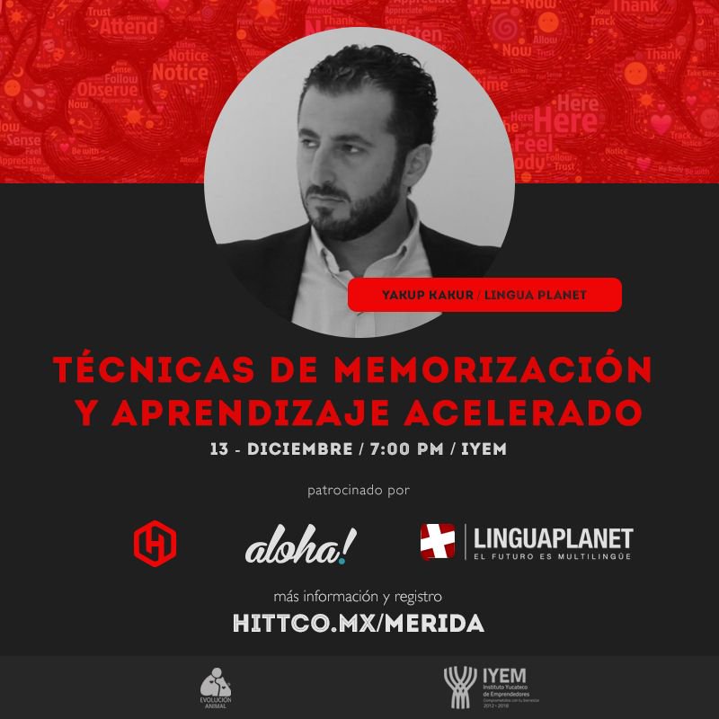 Hittco.mx tweet media