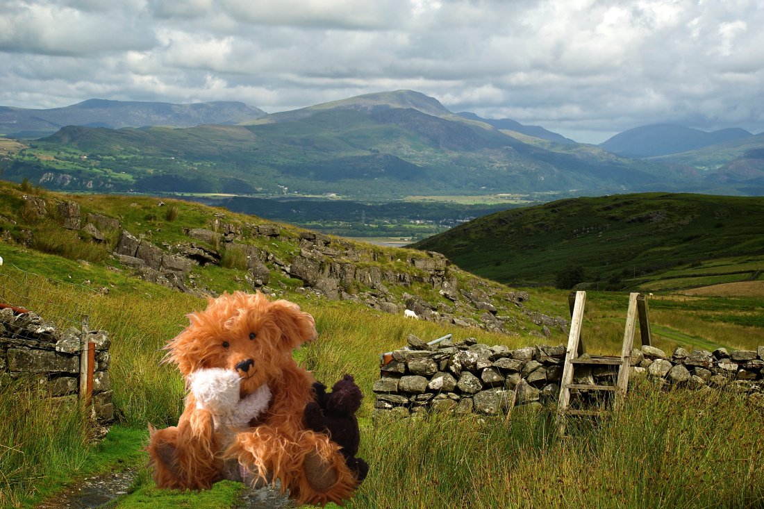 Arth Doeth tweet media