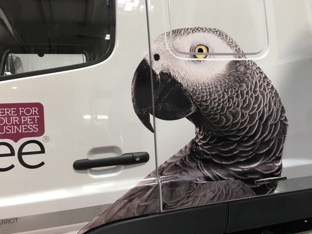 CRS_Graphics's tweet image. Check this out! Ready to stand out in #2018? #Vehiclegraphics are great for advertising, we’ve done this for Pedigree Wholesale, car, van or lorry we’ve got you covered 👍