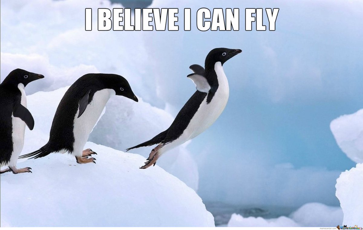 Poppe The Penguin tweet media