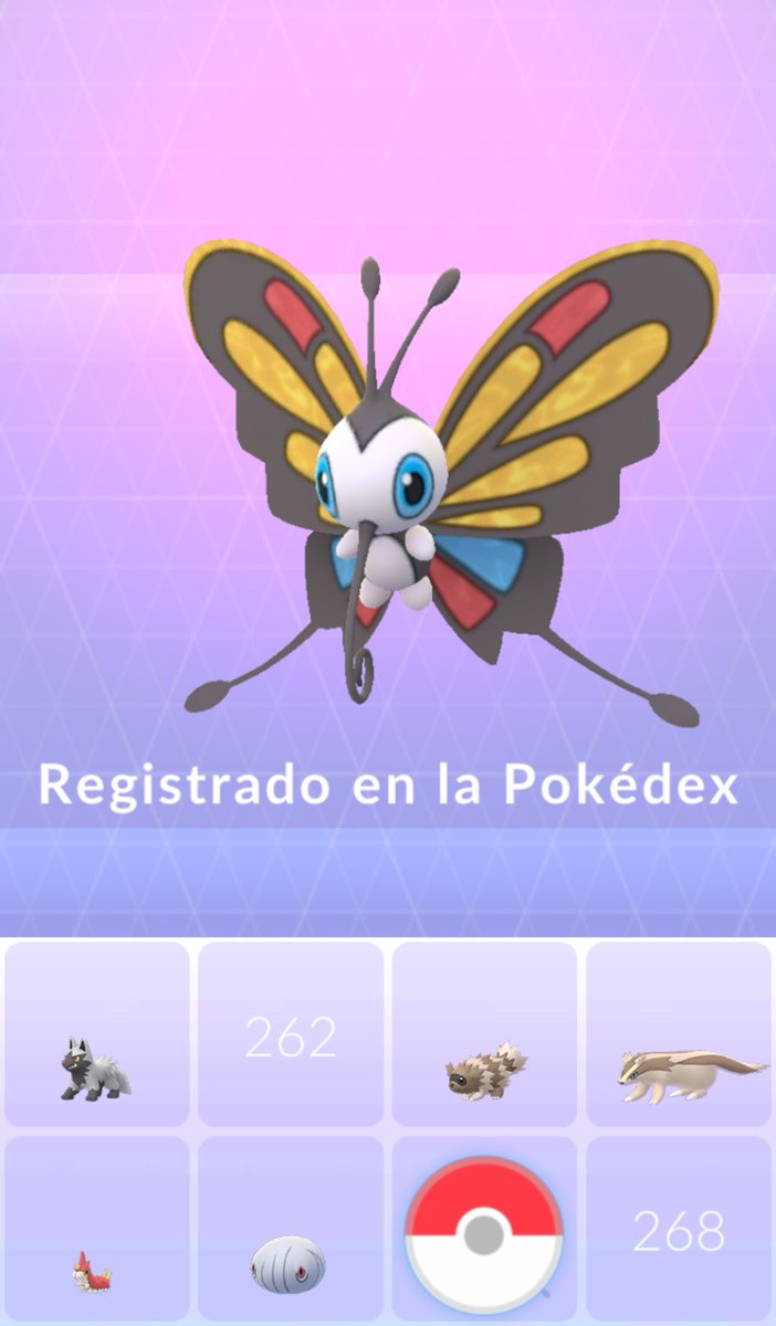 Izumi Konato tweet media