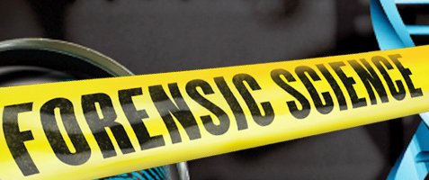 carlesmf's tweet photo. REML: La ciencia forense en proceso de transición. https://t.co/Nc7xg3Xf8L @PsicoForenseUIC @APsiForenses @RedForenseWeb @termdret @eneko70 @IgnasiGaltes @DerechoUIC @SaludUIC @medicinalegal @JoseRAgustina @anmfreml @DrJosepArimany @Victoriafercruz @medico_forense @alexandrexifro https://t.co/5ktgSL1MYa