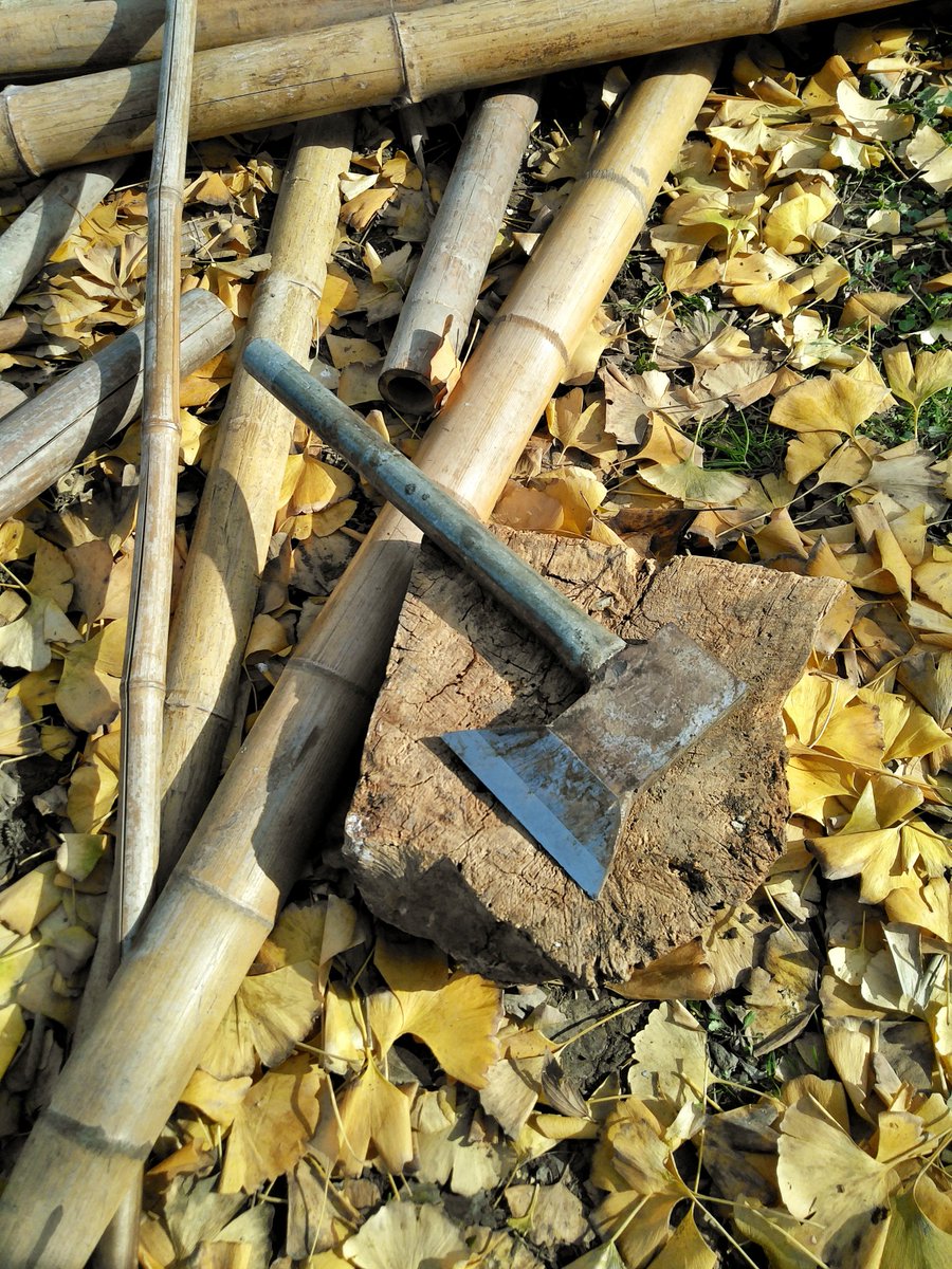 SounDoer's tweet photo. Bamboo Breaker. https://t.co/1TjUpLwK9y