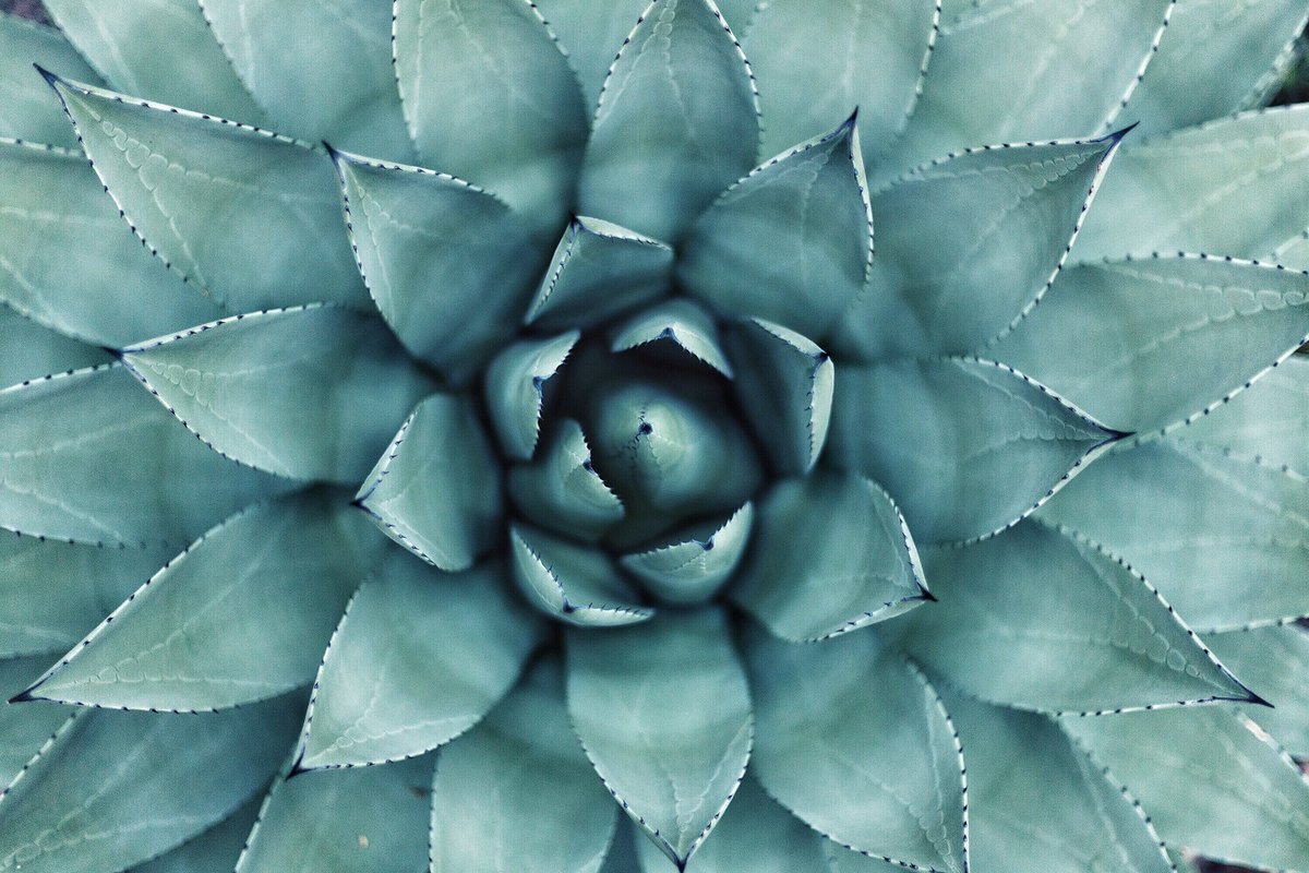 MitaArizona's tweet photo. Next meeting is on Wednesday, Dec. 20th! | This is our very special thank the industry meeting! NO AGENDA, JUST KNOWLEDGE &amp; INFORMATION to be shared with your peers. Join us for fun &amp; games, at this very special all networking meeting! https://t.co/qCIvozjQvD
