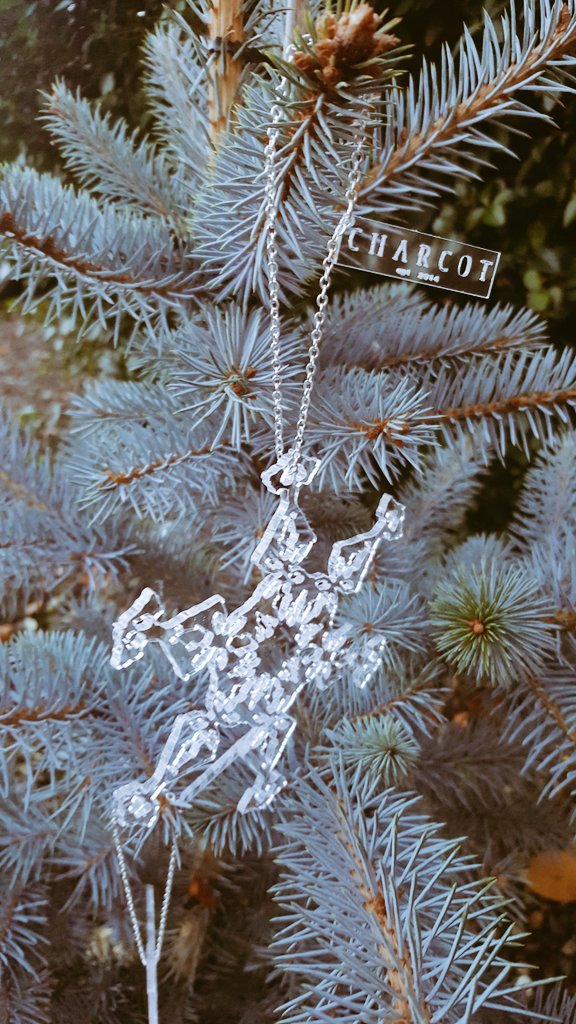 charcotstudio's tweet photo. @kayeadams We have Lesion Snowflake Decorations of course! β https://t.co/E3WjmMab5l #charcotstudio #makingMSvisible #makingMSfestive #multiplesclerosis #MS #lesionlove #redesigningMRI https://t.co/2sZa2z1qjK
