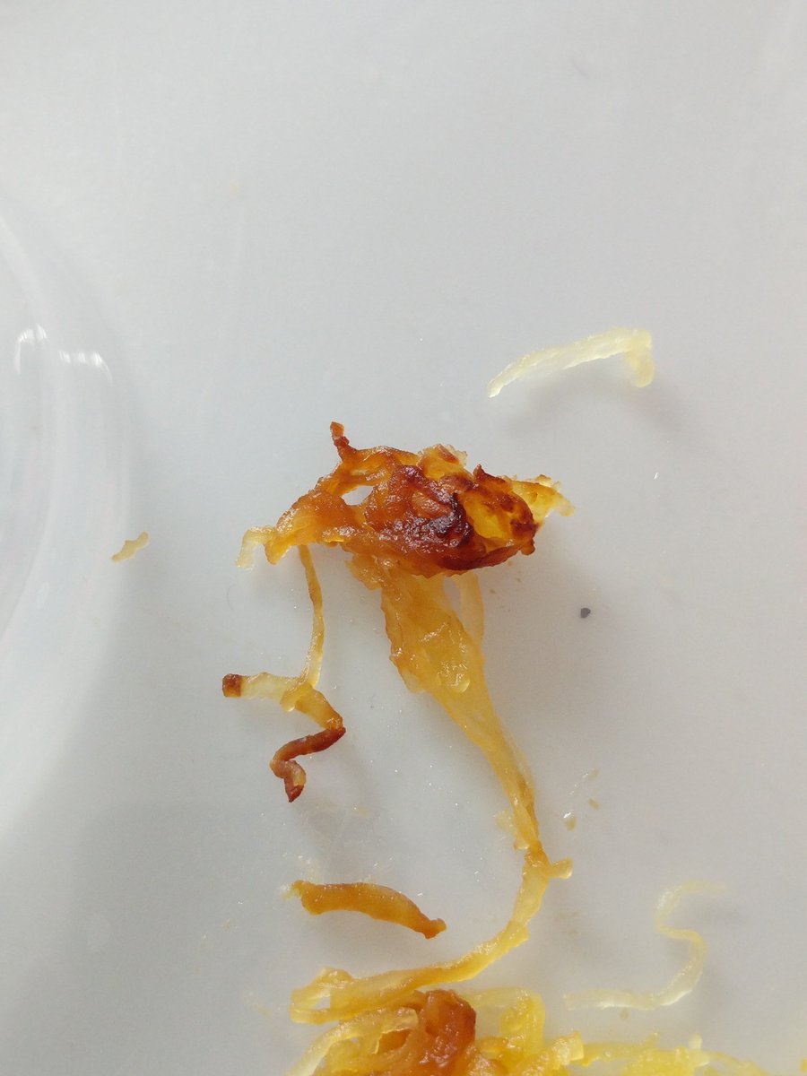 bensmarshall's tweet photo. "It's not burnt, it's just cooked more." - my wife https://t.co/jfawvEpitr