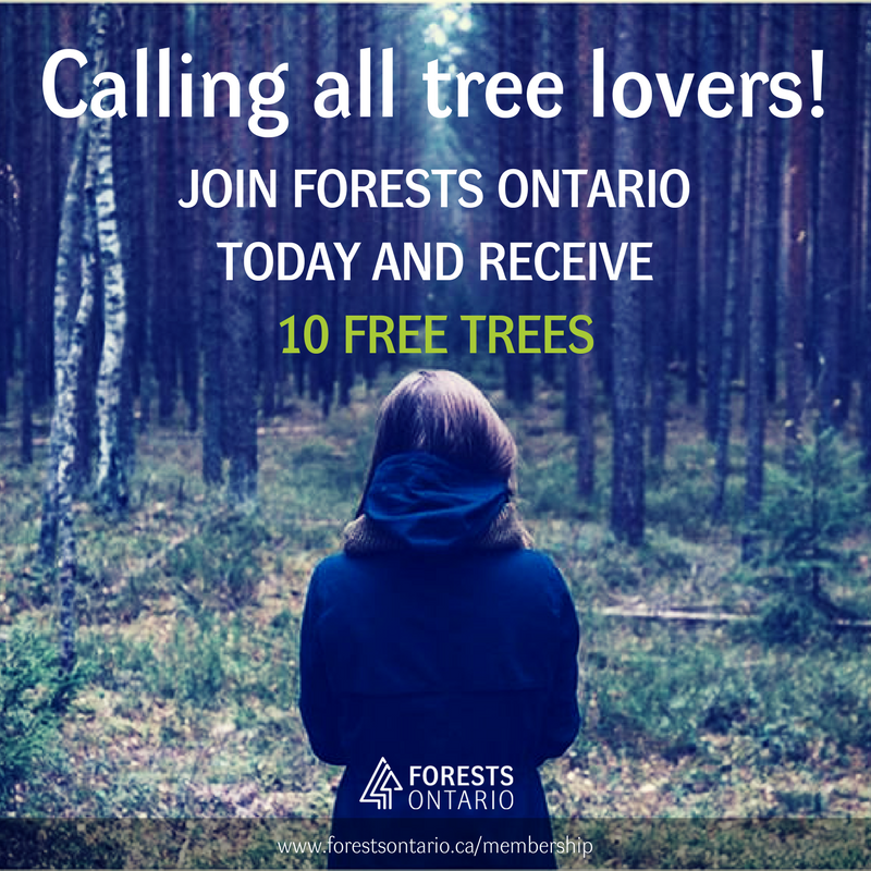 forestscanada's tweet photo. Not sure what to give this holiday season? Purchase a membership for the tree lover in your life &amp; receive 10 free trees next spring! Details at https://t.co/xnIrhdIQuQ https://t.co/1JjDWt64He