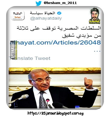 السلطات المصرية توقف على ثلاثة من مؤيدي شفيق