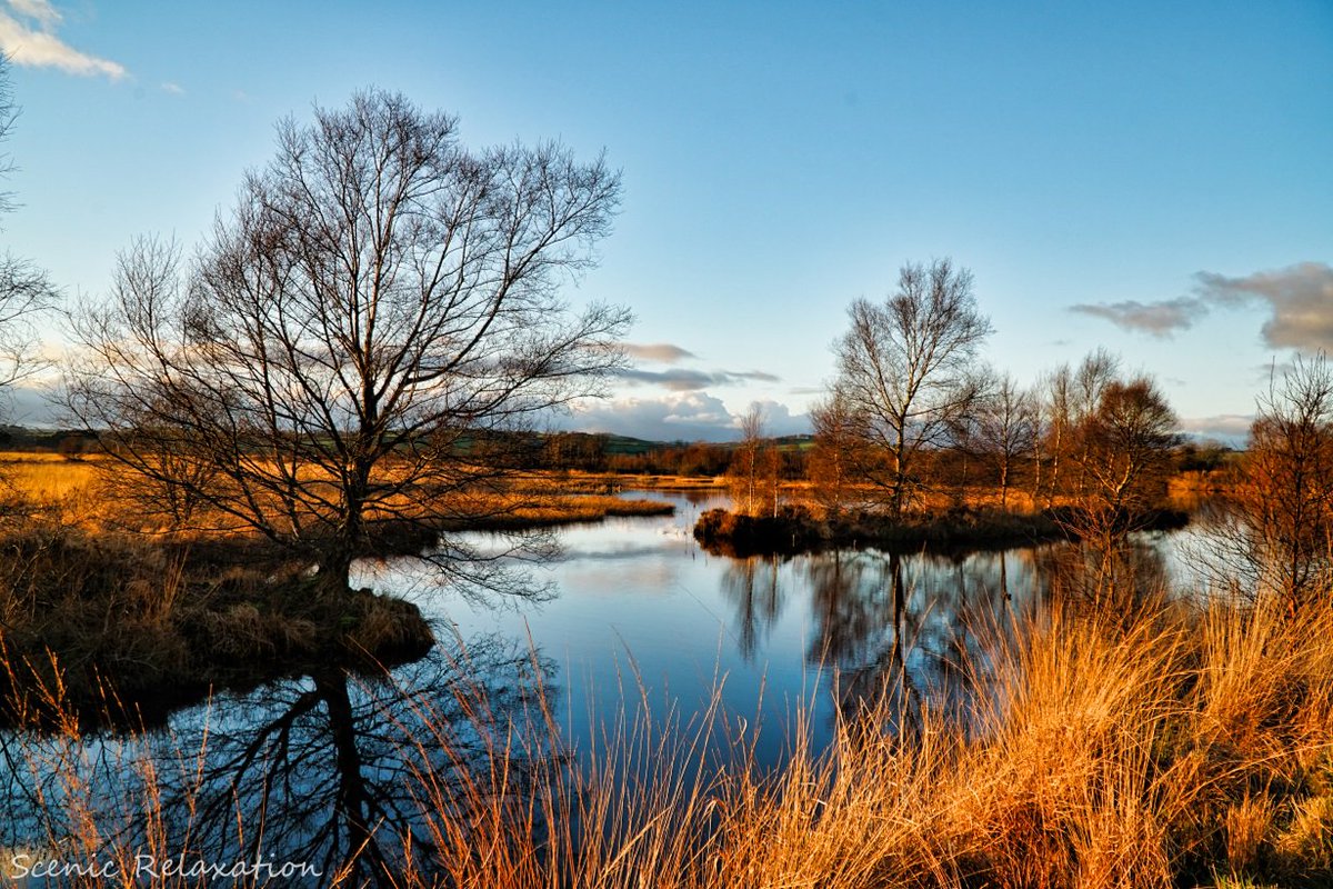 harmony of the mind on twitter winter lake reflections