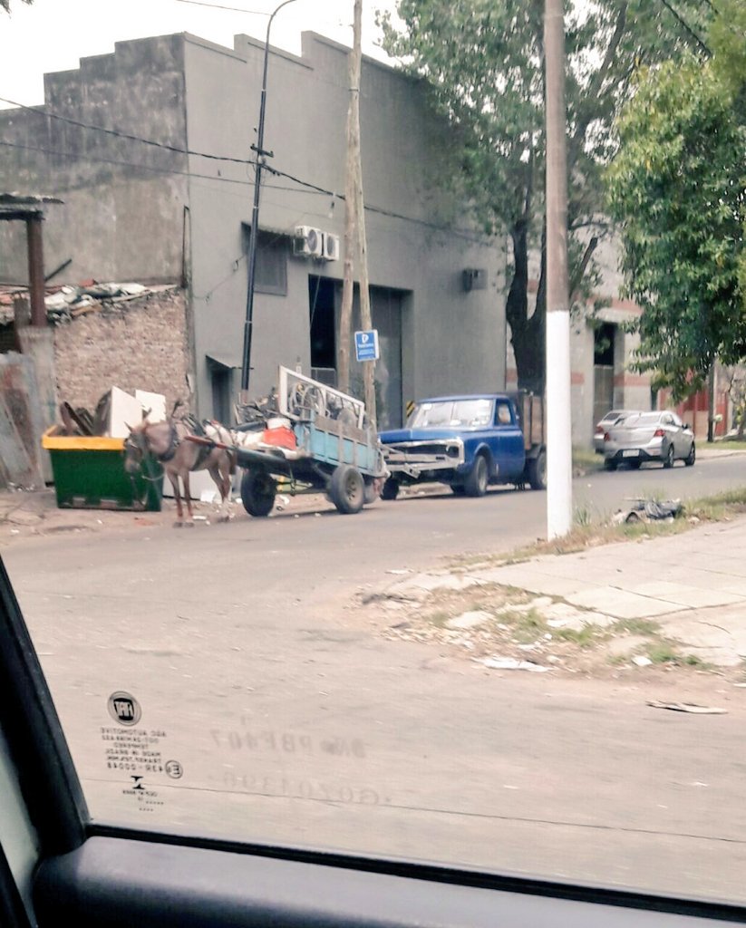 Silvanajuntos's tweet photo. @leynomastas El mismo caballo cargado 8.45 am y luego 13.30 pm SEGUÍA ACARREANDO CHATARRA. IMPUNIDAD TOTAL EN MI BARRIO.@dievalen https://t.co/NFlKXBJXSY