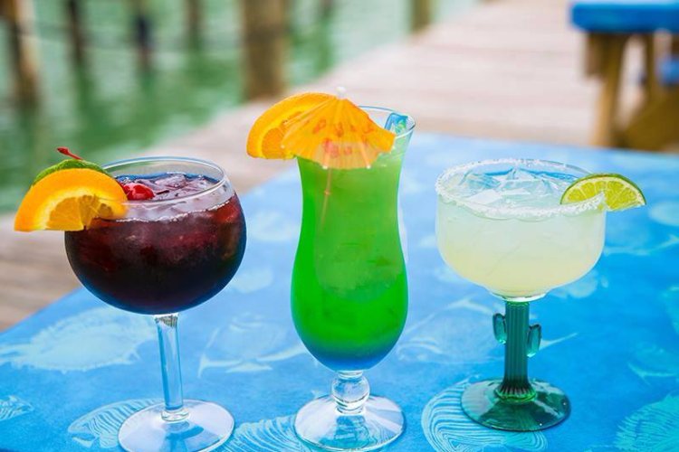 seacritterscafe's tweet photo. Our work speaks for itself, but that doesn't mean you can't also speak for it, St Pete Beach. https://t.co/DVY4IhWfwd https://t.co/emHcxpr8eE