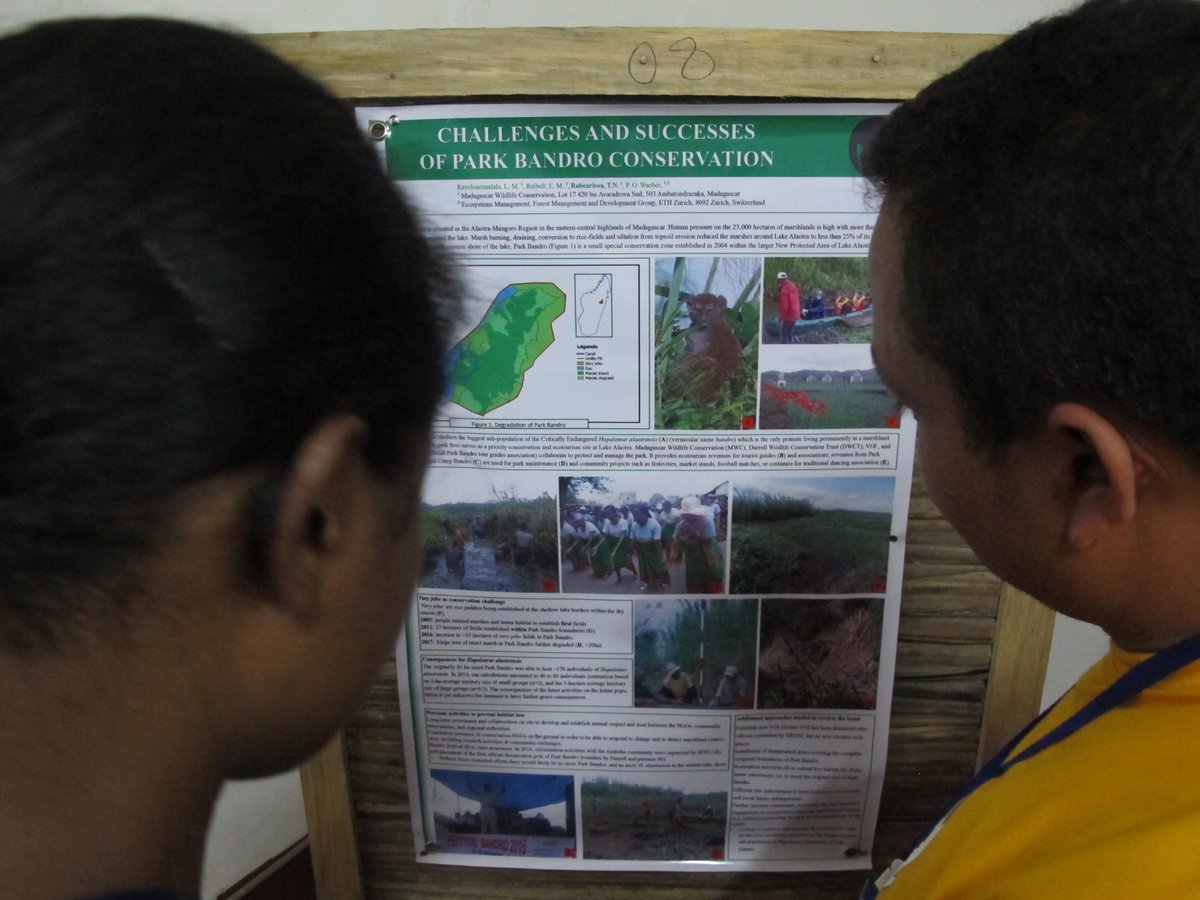 BandroAlert's tweet photo. Discussing activities, current threats and #conservation measures of Park  #Bandro,  Lake #Alaotra during the poster session of the MPS #Lemur  Congress in Tamatave @LemurNetwork @GERP @DurrellWildlife https://t.co/tv2H9e4mnc