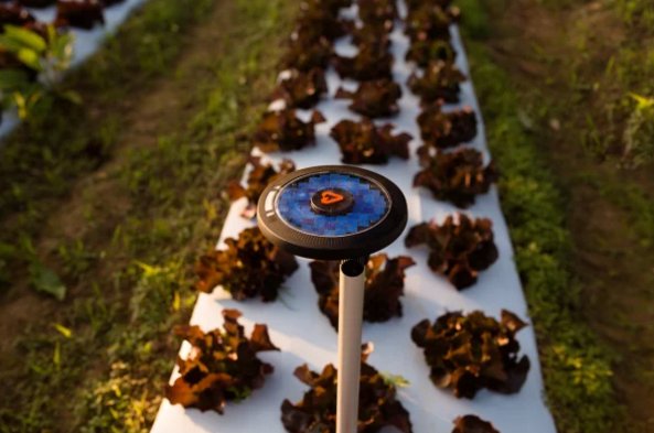 batutgis's tweet image. Medición y transmisión de datos de temperatura, humedad de suelo, incluido un espectrómetro. Avanza la tecnología para recopilar datos y mejorar la toma de decisiones #agtech fastcompany.com/3060531/this-s…