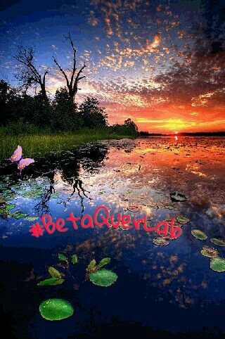 Mais um final de tarde ! Que todos dos #BetaQuerLab  tenham um ótimo início de noite ! Sem sacrifícios não há vitória ! 😊😄😉