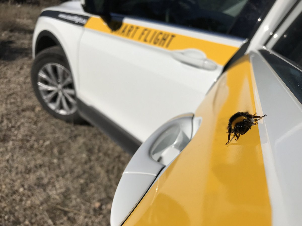 smart_flight's tweet image. Agricultura de Precisión 💯❎💯 Respetuosa con el Medio Ambiente #Abejorro 💛 #Drone 
#SmartFlight