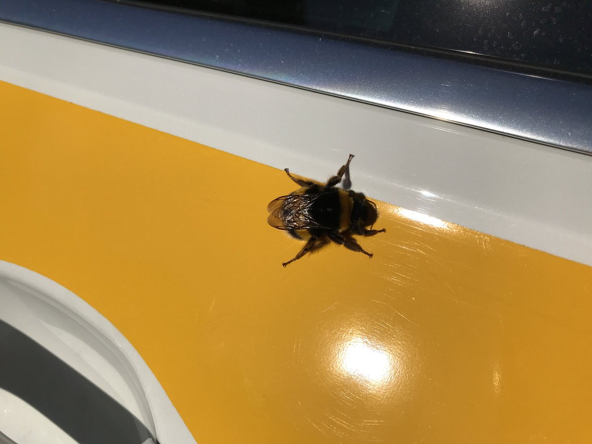 smart_flight's tweet image. Agricultura de Precisión 💯❎💯 Respetuosa con el Medio Ambiente #Abejorro 💛 #Drone 
#SmartFlight