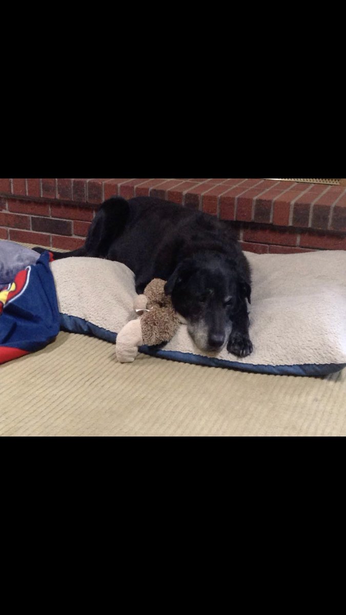 RIP Roo Roo. Love you Roxy